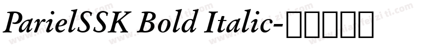 ParielSSK Bold Italic字体转换